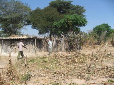 sandawe_home.jpg sandawe_home.jpg
